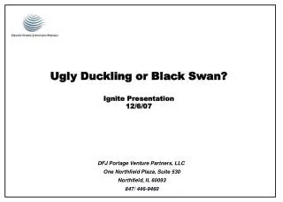 ugly duckling or black swan ignite presentation 12 6 07