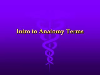 Intro to Anatomy Terms