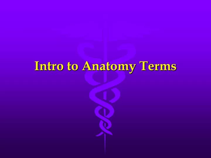 intro to anatomy terms