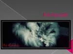 It is my cat! - slide 1