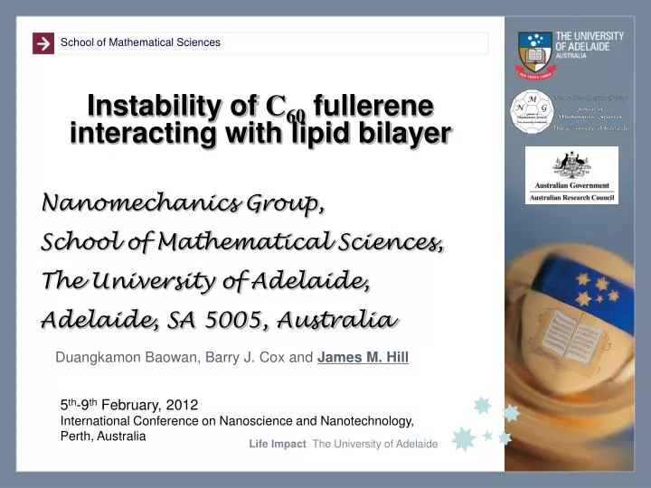 instability of c 60 fullerene interacting with lipid bilayer