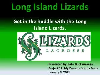 Long Island Lizards