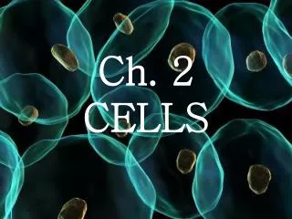 Ch. 2 CELLS