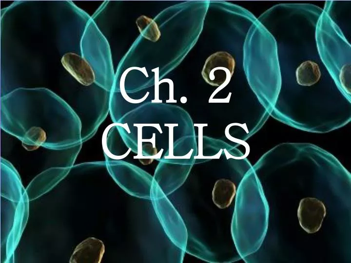 ch 2 cells