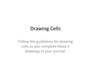 Drawing Cells