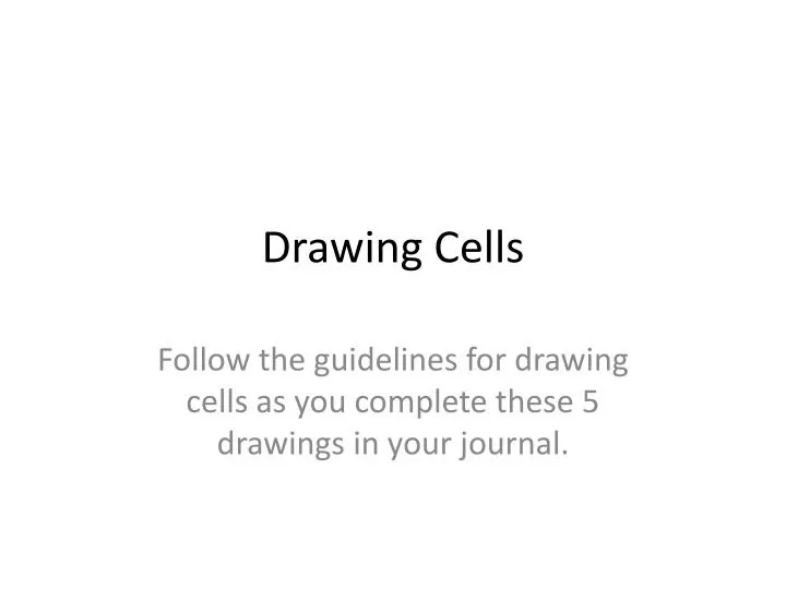 drawing cells