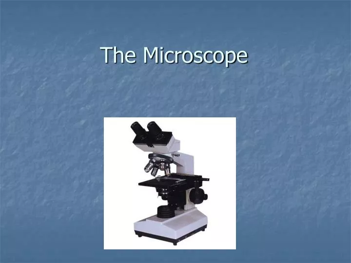 the microscope