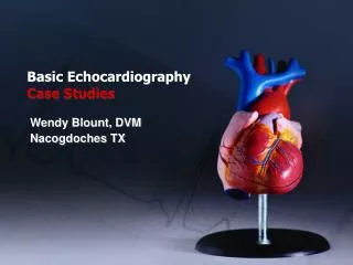 Basic Echocardiography Case Studies