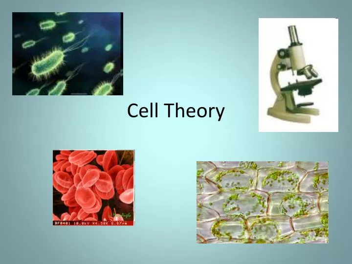 cell theory