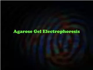 Agarose Gel Electrophoresis