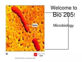 Welcome to Bio 205 !