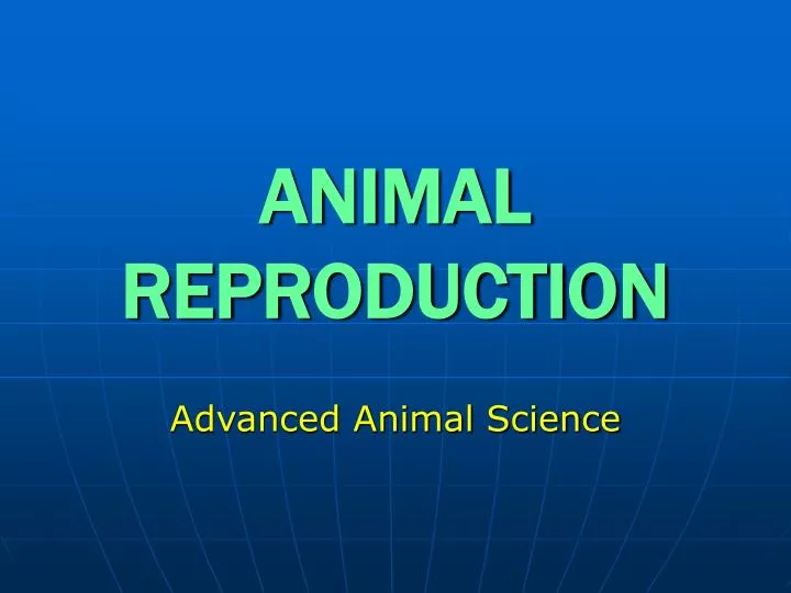 animal reproduction