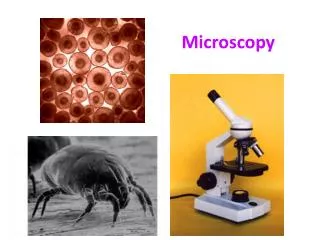 Microscopy