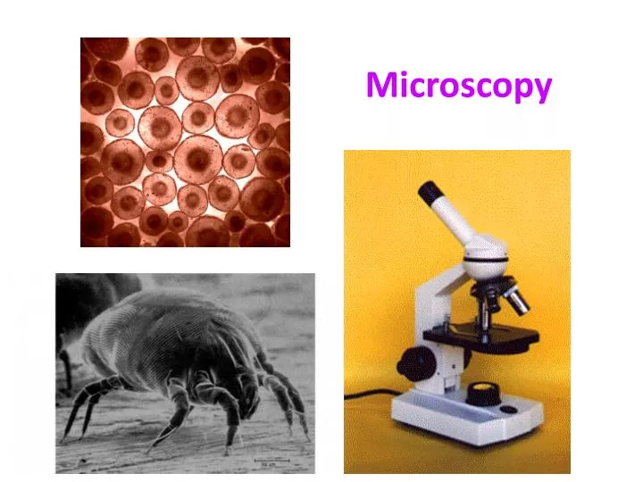 microscopy