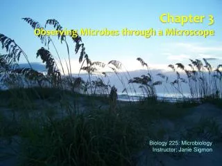 Chapter 3 Observing Microbes through a Microscope