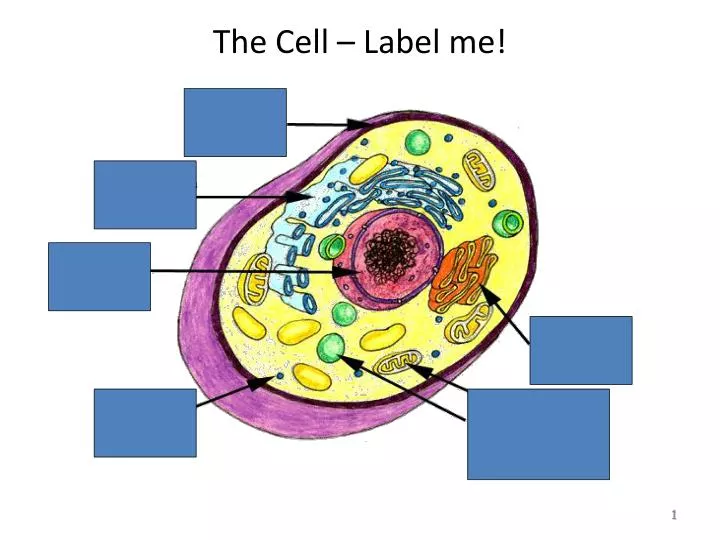 the cell label me