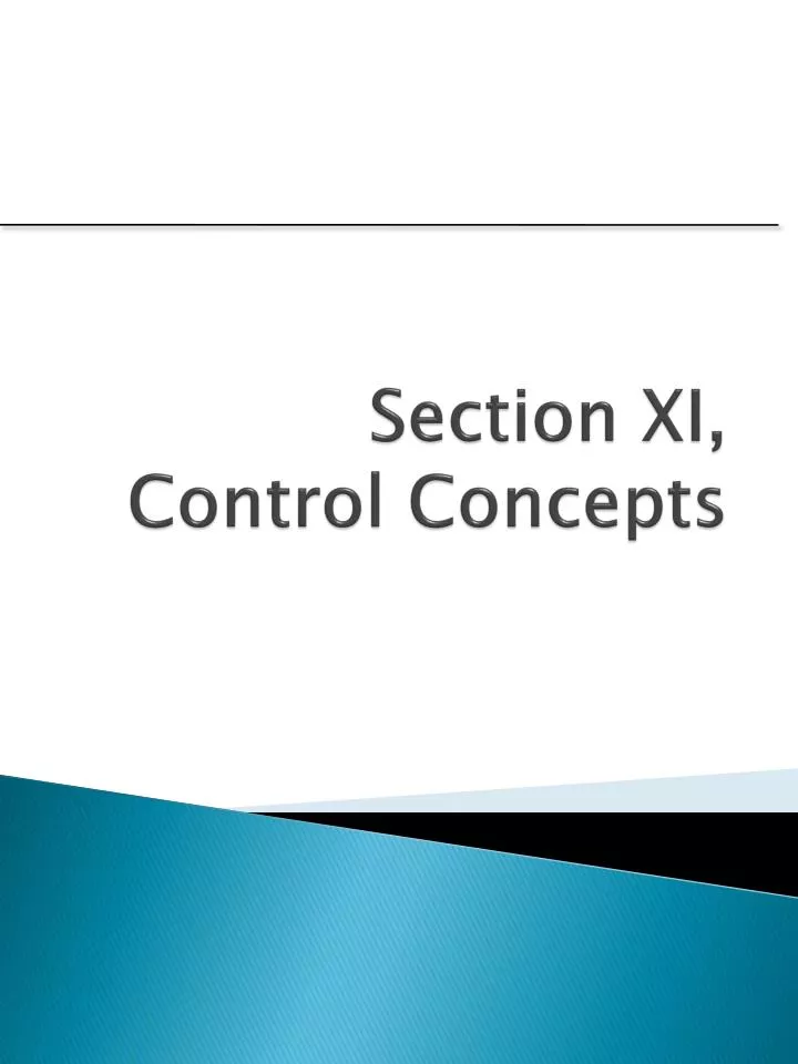 section xi control concepts