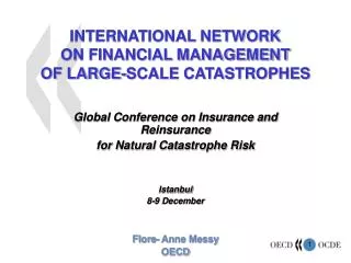 INTERNATIONAL NETWORK ON FINANCIAL MANAGEMENT OF LARGE-SCALE CATASTROPHES
