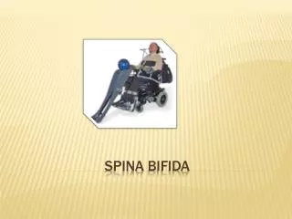 Spina Bifida