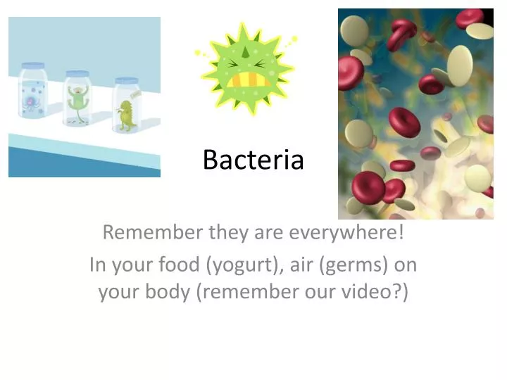 PPT - Bacteria PowerPoint Presentation, free download - ID:2684590