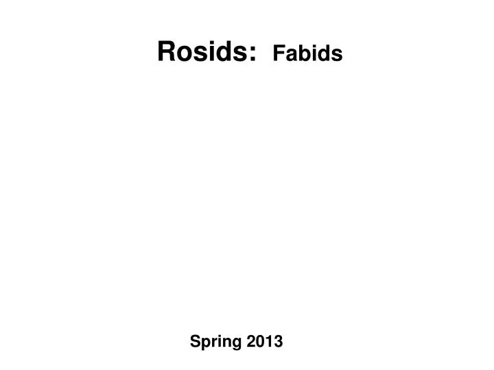 rosids fabids