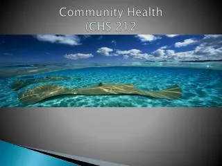 Community Health (CHS 212