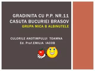 Gradinita cu P.P. Nr.11 Casuta bucuriei Brasov GRUPA MICA B Albinutele