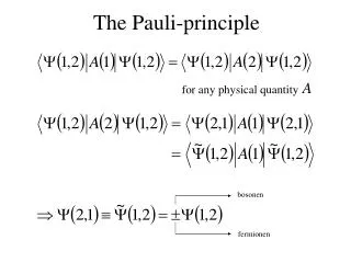 The Pauli-principle