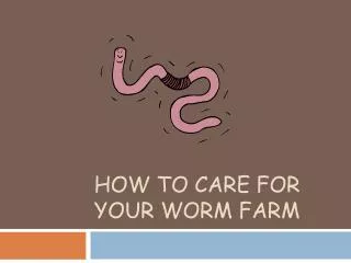 How to Care for Your Worm Farm