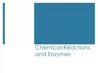 Chemical Reactions and Enzymes