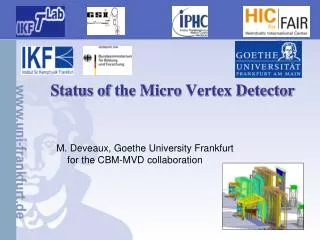 Status of the Micro Vertex Detector