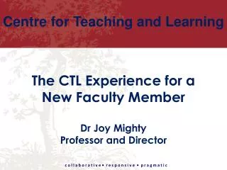 The CTL Experience for a New Faculty Member Dr Joy Mighty Professor and Director