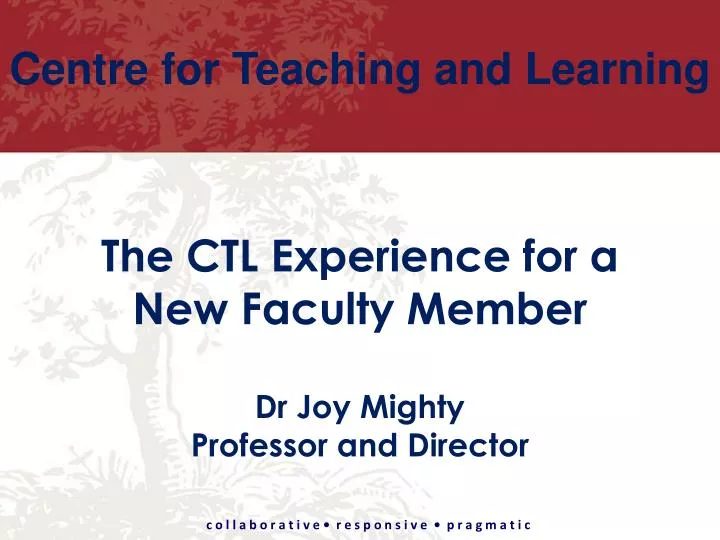 the ctl experience for a new faculty member dr joy mighty professor and director