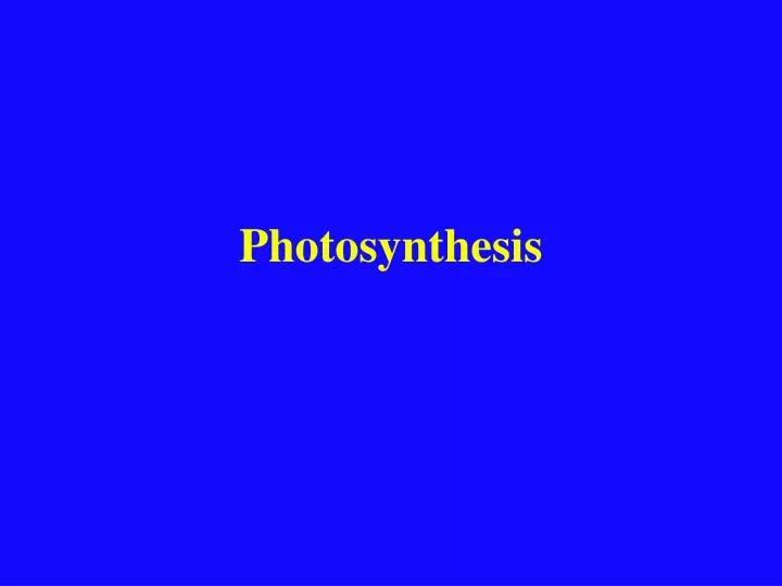 photosynthesis