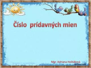 mgr adriana ho t kov