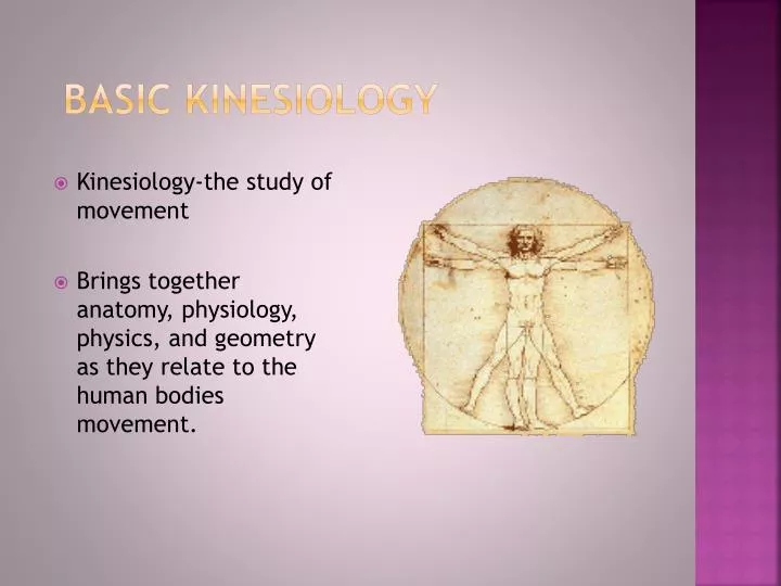 basic kinesiology