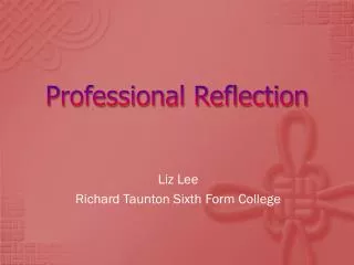 Professional Reflection