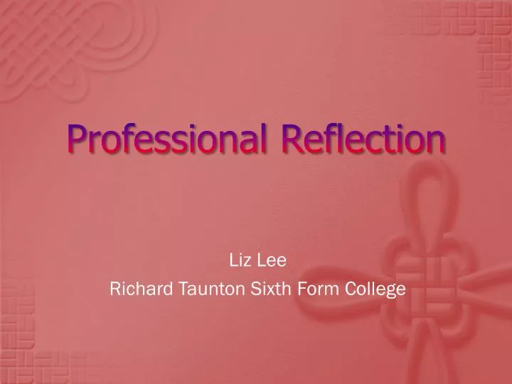 professional reflection