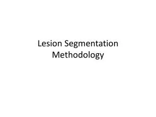 Lesion Segmentation Methodology