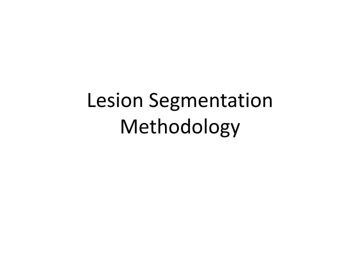 lesion segmentation methodology