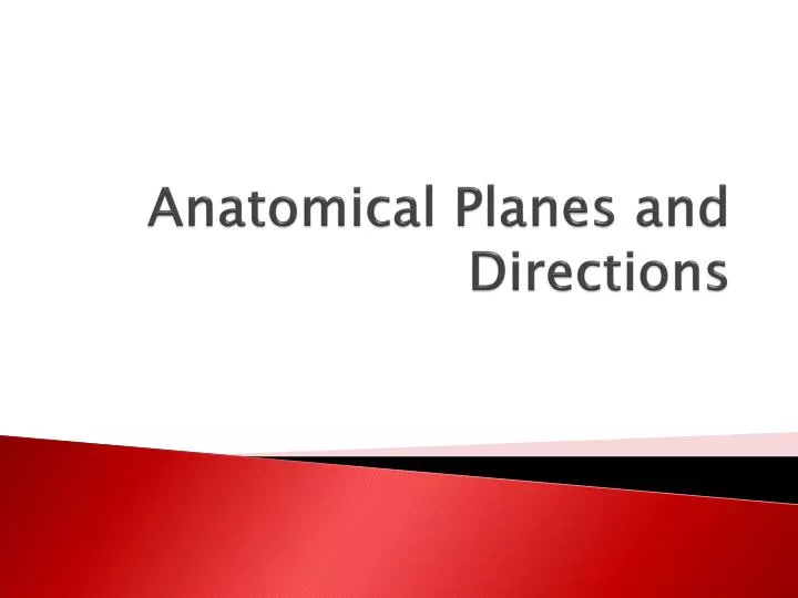 anatomical planes and directions
