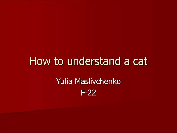 how to understand a cat