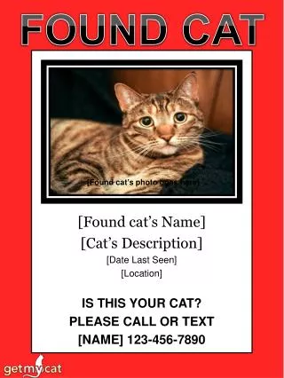 [Found cat ’ s Name] [Cat ’ s Description] [Date Last Seen] [Location] IS THIS YOUR CAT?