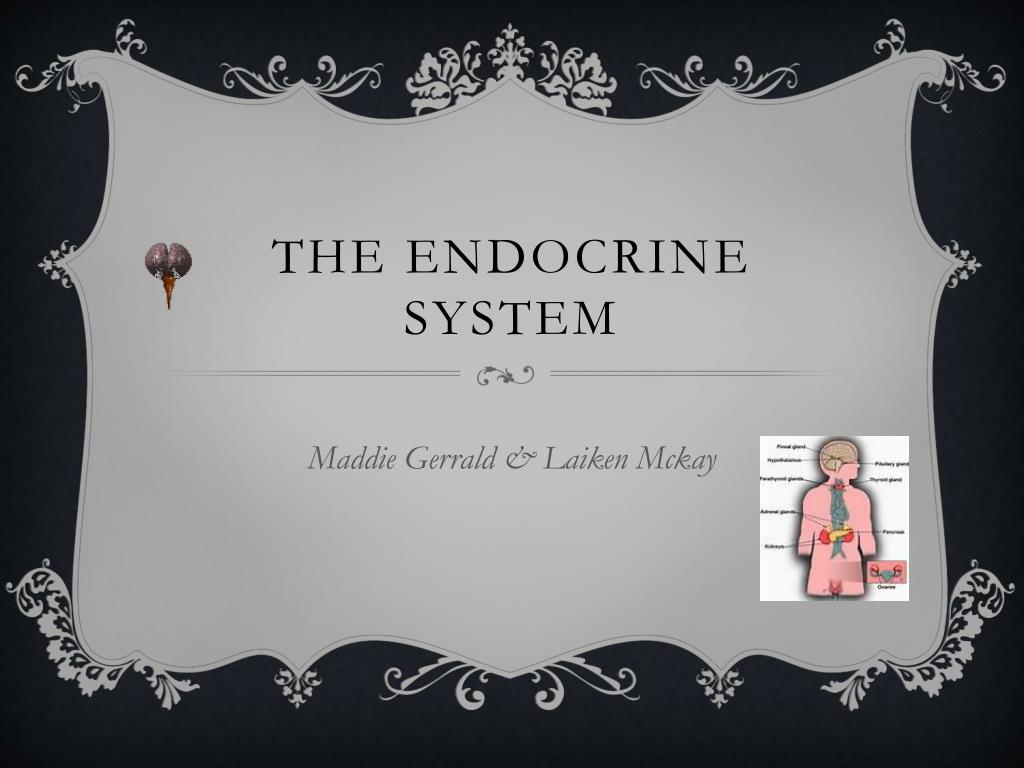 PPT - The endocrine system PowerPoint Presentation, free download - ID ...