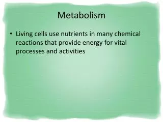 Metabolism