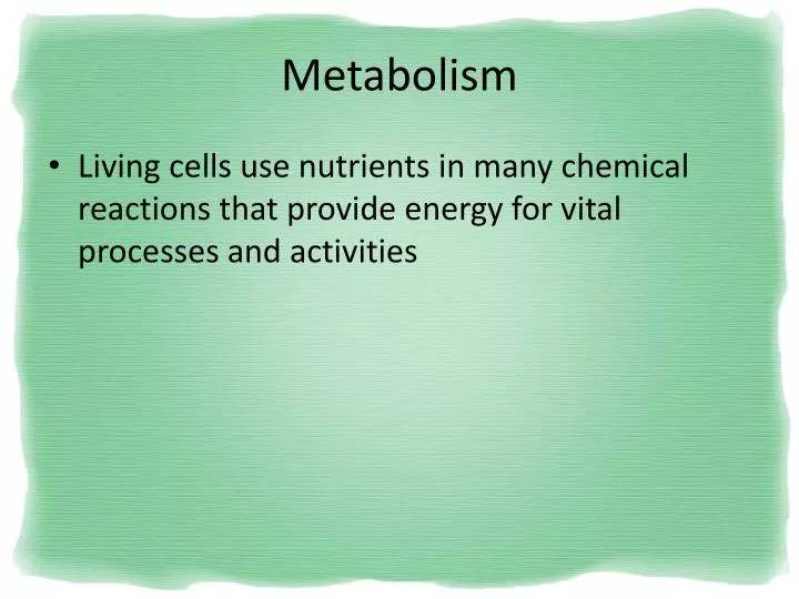 metabolism