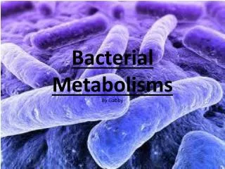 Bacterial Metabolisms