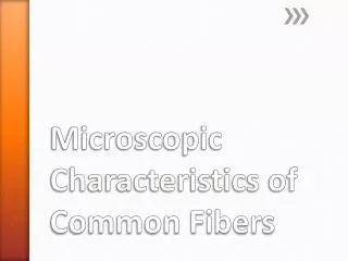 Microscopic Characteristics of Common Fibers