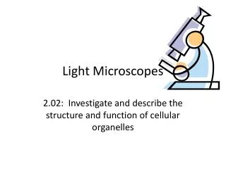 light microscopes