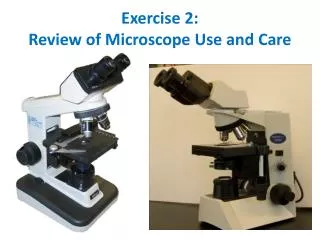 Exercise 2: Review of Microscope Use and Care